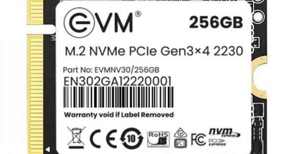 Buy EVM M 2 Nvme PCIe 2230 256GB SSD Online In India At HUBTRONICS In