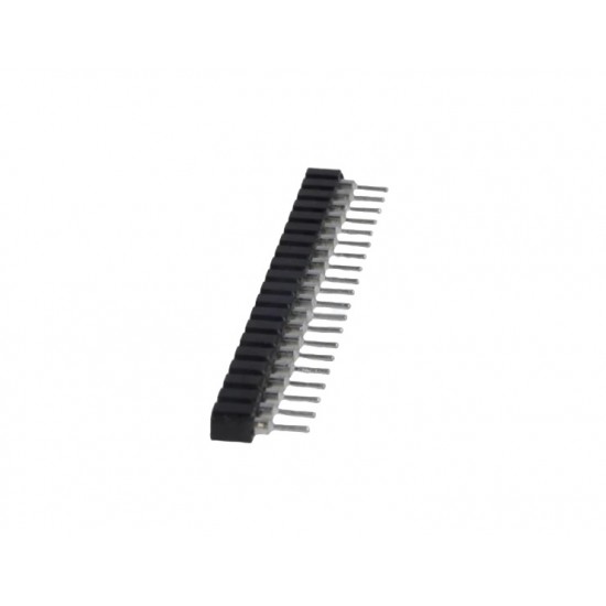 ConnFly 1*20 Turned Pin Socket 2.54mm Pitch  |  DS1002-01-1*20V13-GC 