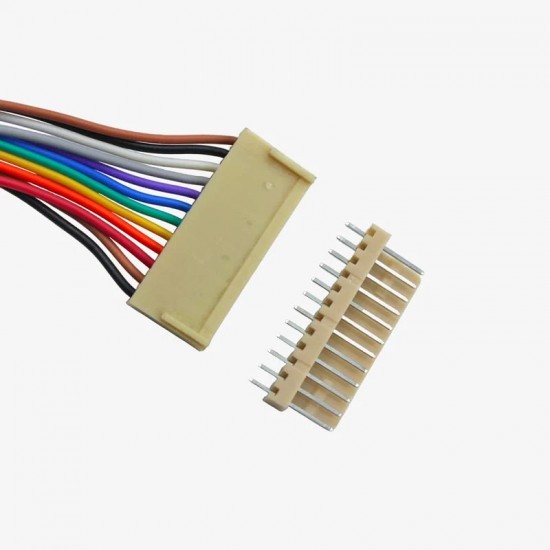 2510 12 Pin Board to Wire RMC Connector -  2.54mm Pitch - 12inch Wire