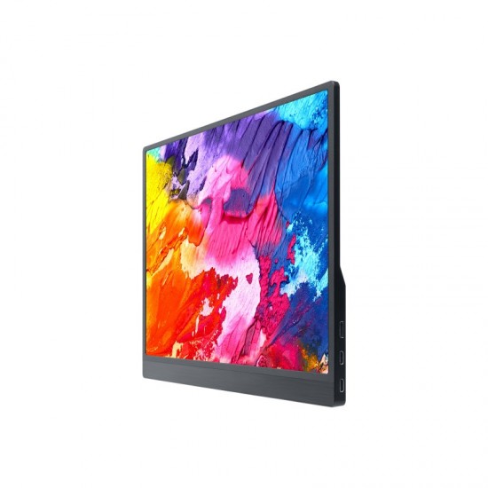  15.6inch Monitor with Stand, Thin and Light Design, IPS screen, 1920 × 1080 Full HD, 100%sRGB High Color Gamut