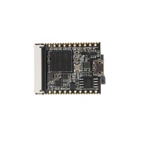 LicheePi Nano ARM926EJS SoC Development Board - 16M Flash & Wi-Fi