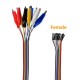 10Pin Alligator Clip to Female Jumper Wire for DIY Connection - 20cm Length 10Pin Alligator Clip to Female Jumper Wire for DIY Connection - 20cm Length