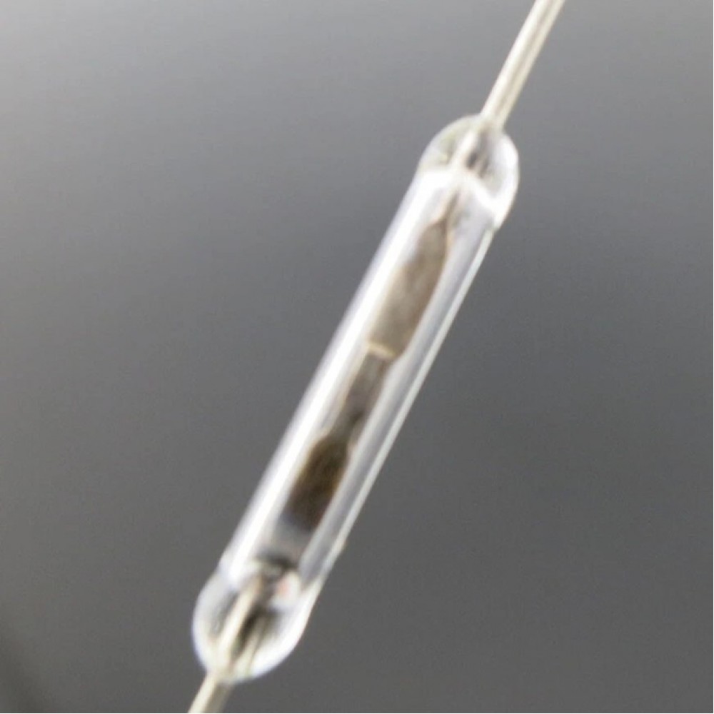 Buy 12mm Magnetic Reed Switch Silver / White - Normally Open Online In ...