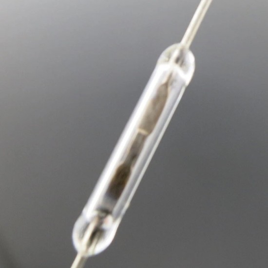 12mm Magnetic Reed Switch Silver / White - Normally Open 12mm Magnetic Reed Switch Silver / White - Normally Open