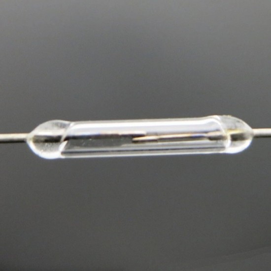 12mm Magnetic Reed Switch Silver / White - Normally Open 12mm Magnetic Reed Switch Silver / White - Normally Open