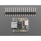 Adafruit CH552 QT Py - 8051 Dev Board with STEMMA QT Adafruit CH552 QT Py - 8051 Dev Board with STEMMA QT
