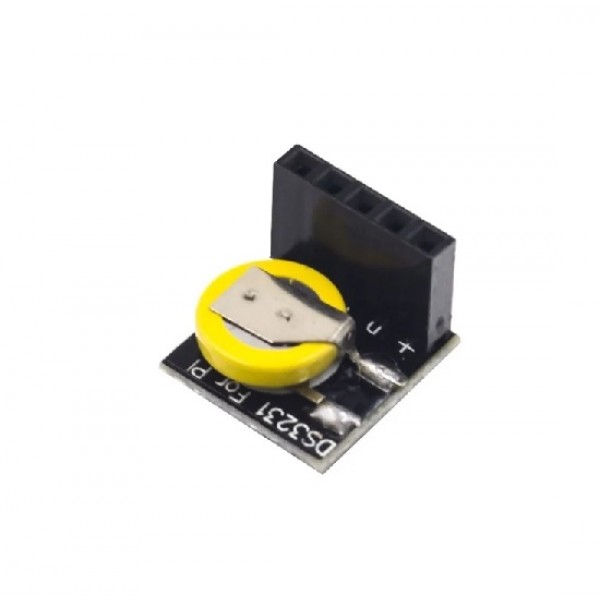 Buy DS3231 Precision RTC Clock Memory Module For Raspberry Pi - Without ...