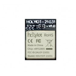 Holyiot-21031-nRF52805 Nordic nRF52805 SoC Based Bluetooth 5.0 Module Holyiot-21031-nRF52805 Nordic nRF52805 SoC Based Bluetooth 5.0 Module