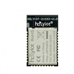 Holyiot-21033-nRF52832 Nordic nRF52832 SoC Based Bluetooth 5.0 Module Holyiot-21033-nRF52832 Nordic nRF52832 SoC Based Bluetooth 5.0 Module