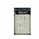 Holyiot-21033-nRF52832 Nordic nRF52832 SoC Based Bluetooth 5.0 Module