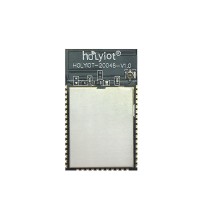 Holyiot-20046-nRF5340 Nordic nRF5340 2.4Ghz Bluetooth 5.0 Module