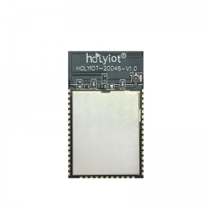 Holyiot-20046-nRF5340 Nordic nRF5340 2.4Ghz Bluetooth 5.0 Module Holyiot-20046-nRF5340 Nordic nRF5340 2.4Ghz Bluetooth 5.0 Module