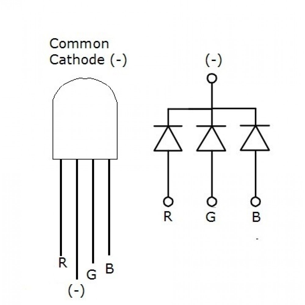 Led Component Leg Buy 5mm RGB LED Clear Common Anode 4 Leg Online India at HUBTRONICS.in