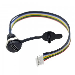 Panel Mount USB Type C Female Connector with Screw & Dust Cap - 6 Pin JST-PH-2.0 (2mm) Connector Output - 15CM Cable Length