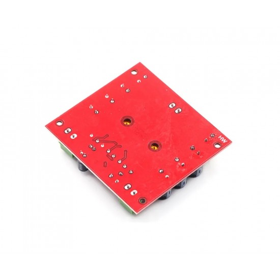 XH-M544 TPA3116D2 150W Mono Channel Digital Power Audio Amplifier Board