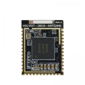 YJ-18010-nRF52840 Nordic NRF52840 SoC Based Bluetooth 5.0 Module YJ-18010-nRF52840 Nordic NRF52840 SoC Based Bluetooth 5.0 Module
