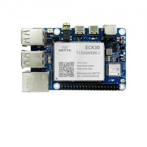 Ebyte ECB31-P4T13SA2ME8G 256MB RAM 8GB eMMC Industrial-grade Single Board Computer - Based on Allwinner T113-S Processors Ebyte ECB31-P4T13SA2ME8G 256MB RAM 8GB eMMC Industrial-grade Single Board Computer - Based on Allwinner T113-S Processors