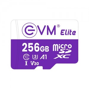 EVM 256GB Class 10 Micro SD Card