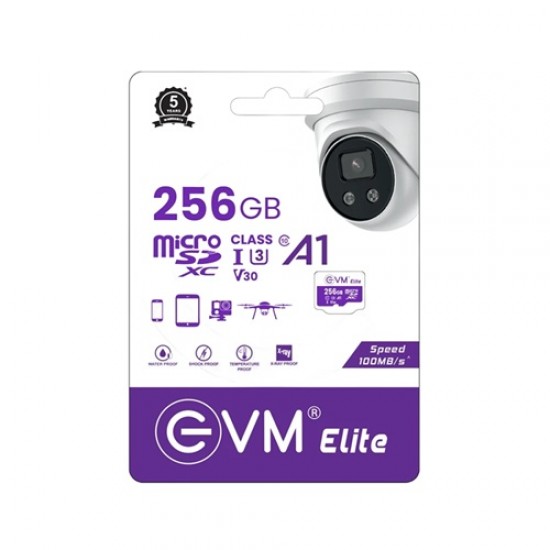 EVM 256GB Class 10 Micro SD Card