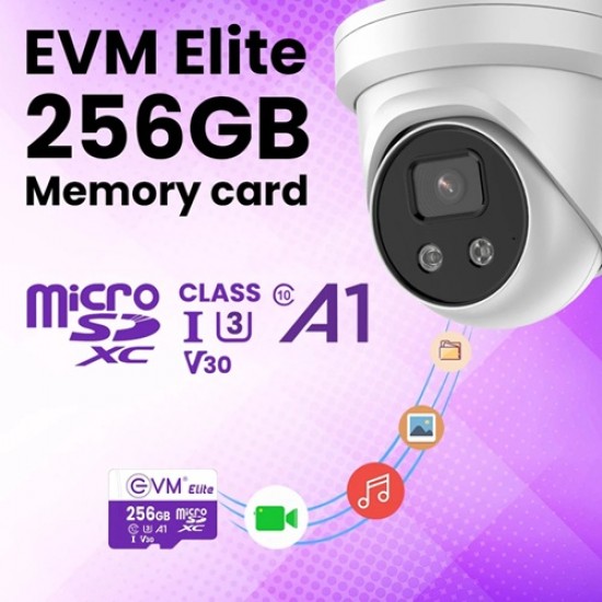 EVM 256GB Class 10 Micro SD Card
