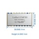 G-NiceRF LoRa1276F30 868MHz SX1276 500mW Long Range LoRa Wireless LoRa Module G-NiceRF LoRa1276F30 868MHz SX1276 500mW Long Range LoRa Wireless LoRa Module