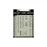 Holyiot-21069-nRF5340 Nordic nRF5340 SoC Based Bluetooth 5.0 Module