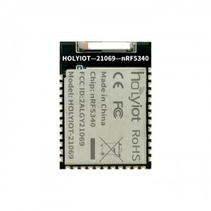 Holyiot-21069-nRF5340 Nordic nRF5340 SoC Based Bluetooth 5.0 Module