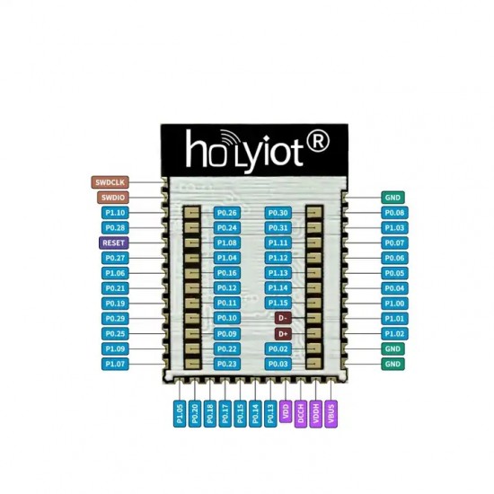 Holyiot-21069-nRF5340 Nordic nRF5340 SoC Based Bluetooth 5.0 Module