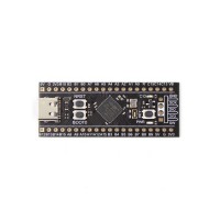 STM32F411 Black Pill Development Board