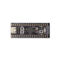 STM32F411 Black Pill Development Board