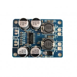 TPA3118 60W 16 Pin Chip Digital Audio Amplifier Module - Mono Channel