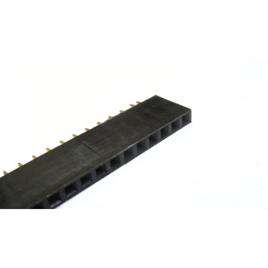 Female Header 40x1 Connector, 2.54mm Pitch, 10mm Height